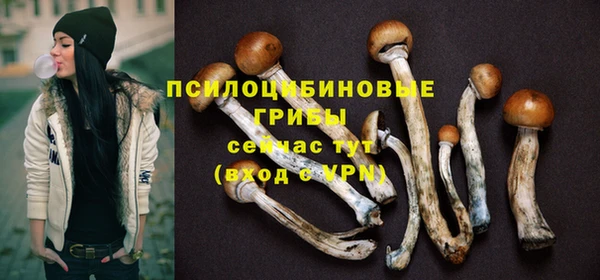 круглые Осташков