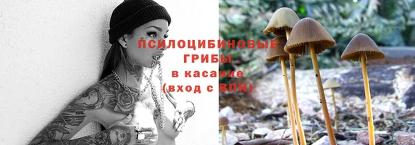 трава Пестово
