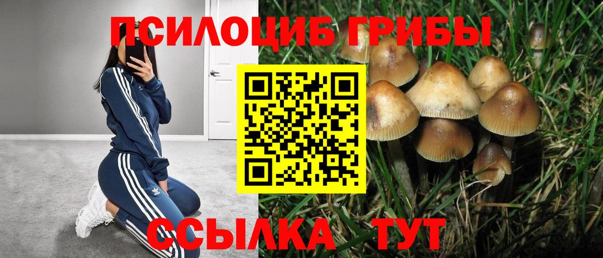 Псилоцибиновые грибы Magic Shrooms  где найти наркотики  Верхняя Салда  Галлюциногенные грибы Psilocybe 