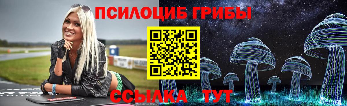 Псилоцибиновые грибы Cubensis  Вход с VPN  Верхняя Салда 
