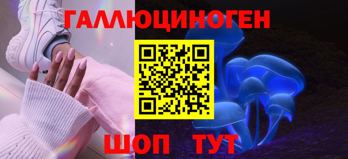 Псилоцибиновые грибы Psilocybe Верхняя Салда