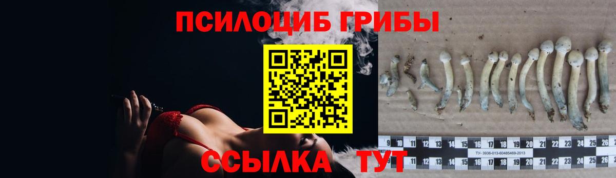 Псилоцибиновые грибы Cubensis Верхняя Салда
